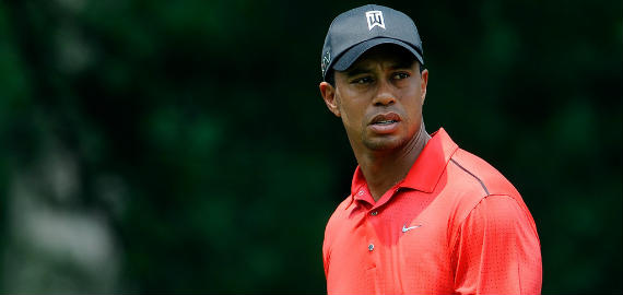 Imagen del artículo Hazlo por ti, Tiger
