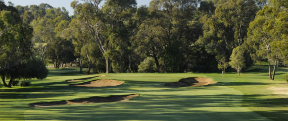 Imagen del artículo Lake Karrinyup Country Club: golf «down under»