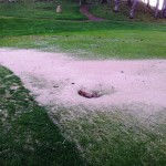Imagen de los daños en Golf La Toja