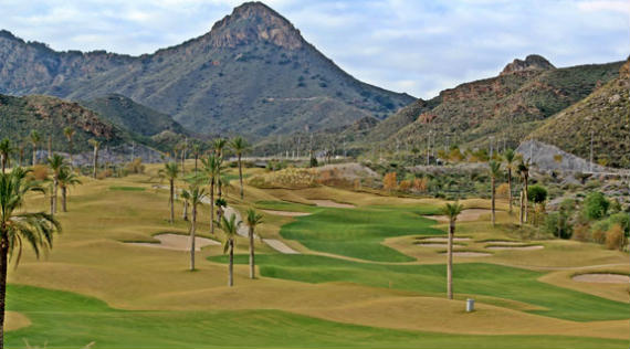 Imagen del artículo La final del XI Circuito Benéfico Fundación Síndrome de West se juega en Aguilón Golf