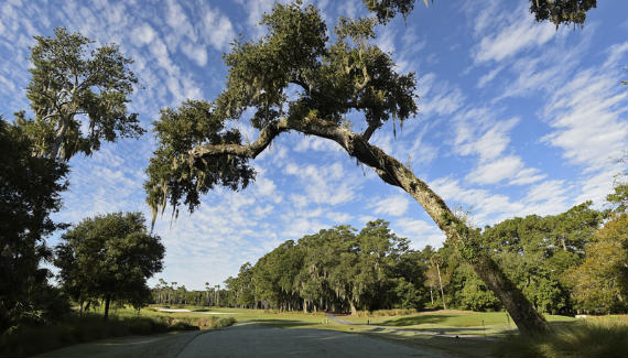Imagen del artículo El TPC Sawgrass se queda sin uno de sus iconos