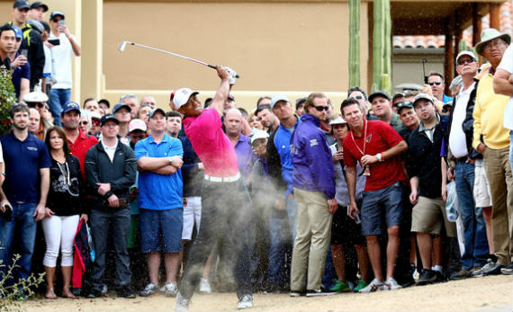 Imagen del artículo Un errático Tiger comienza a nueve golpes de la cabeza