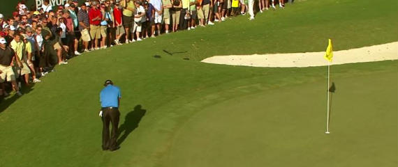 Imagen del artículo Los diez mejores golpes de los playoffs de la FedEx Cup